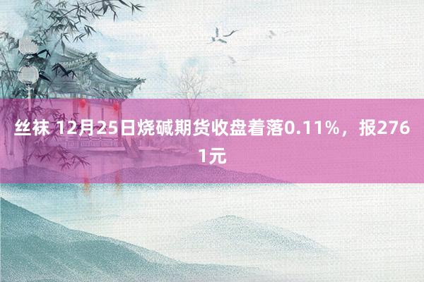 丝袜 12月25日烧碱期货收盘着落0.11%，报2761元