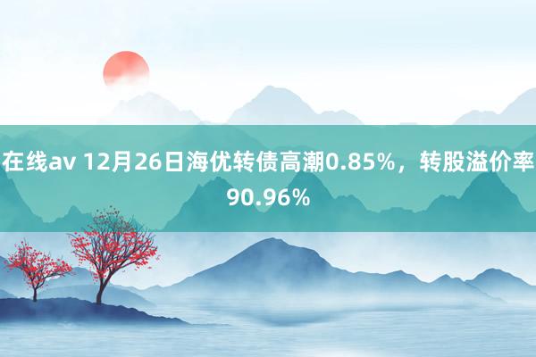 在线av 12月26日海优转债高潮0.85%，转股溢价率90.96%