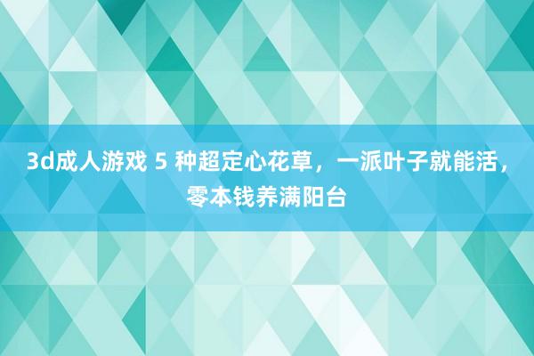 3d成人游戏 5 种超定心花草，一派叶子就能活，零本钱养满阳台