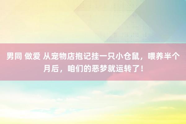 男同 做爱 从宠物店抱记挂一只小仓鼠，喂养半个月后，咱们的恶梦就运转了！