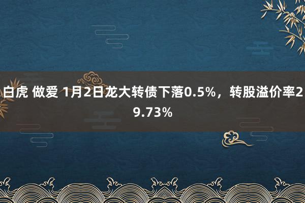 白虎 做爱 1月2日龙大转债下落0.5%，转股溢价率29.73%