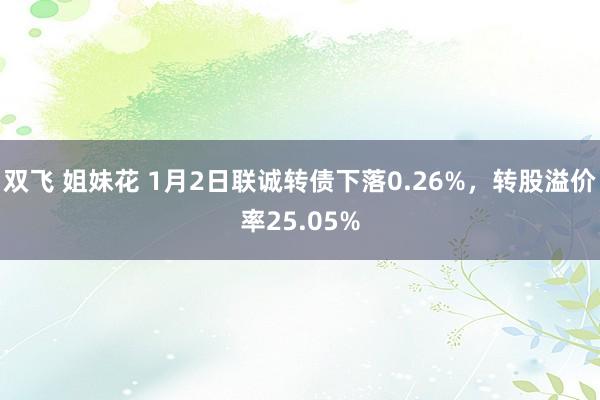 双飞 姐妹花 1月2日联诚转债下落0.26%，转股溢价率25.05%