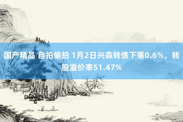 国产精品 自拍偷拍 1月2日兴森转债下落0.6%，转股溢价率51.47%