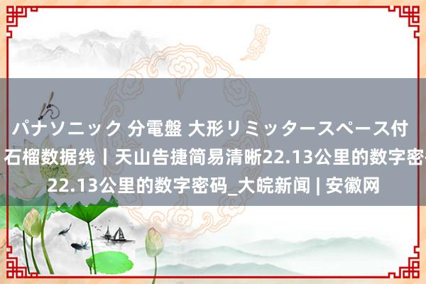 パナソニック 分電盤 大形リミッタースペース付 露出・半埋込両用形 石榴数据线丨天山告捷简易清晰22.13公里的数字密码_大皖新闻 | 安徽网