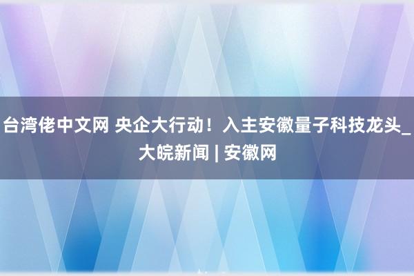 台湾佬中文网 央企大行动！入主安徽量子科技龙头_大皖新闻 | 安徽网