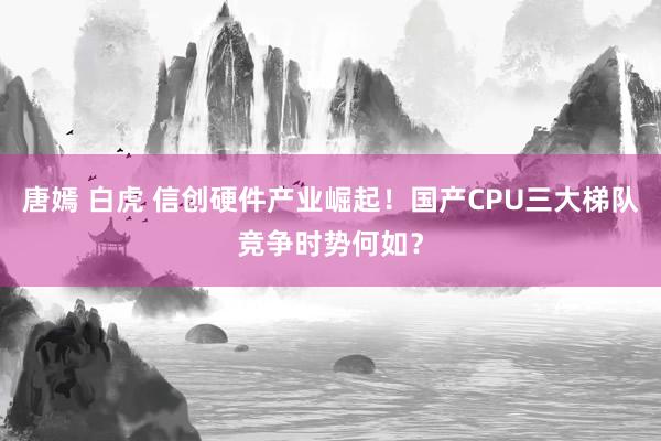 唐嫣 白虎 信创硬件产业崛起！国产CPU三大梯队竞争时势何如？