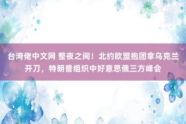 台湾佬中文网 整夜之间！北约欧盟抱团拿乌克兰开刀，特朗普组织中好意思俄三方峰会