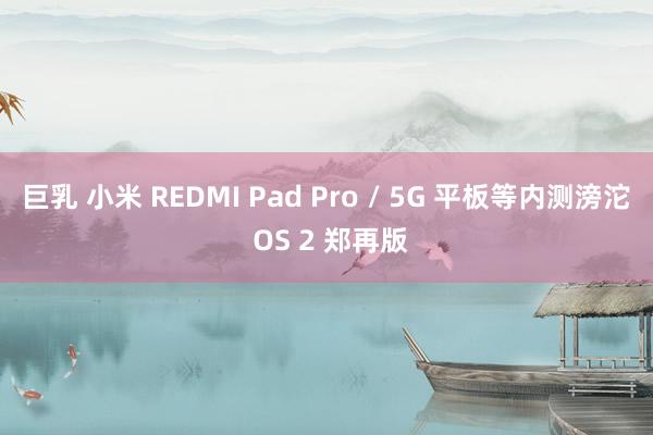 巨乳 小米 REDMI Pad Pro / 5G 平板等内测滂沱 OS 2 郑再版