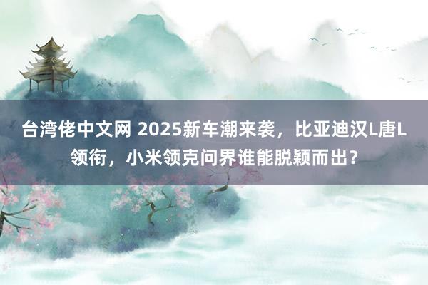 台湾佬中文网 2025新车潮来袭，比亚迪汉L唐L领衔，小米领克问界谁能脱颖而出？