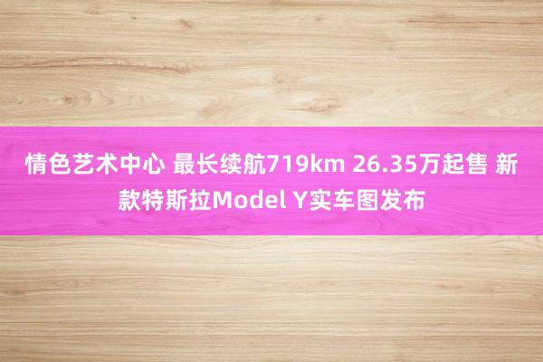 情色艺术中心 最长续航719km 26.35万起售 新款特斯拉Model Y实车图发布